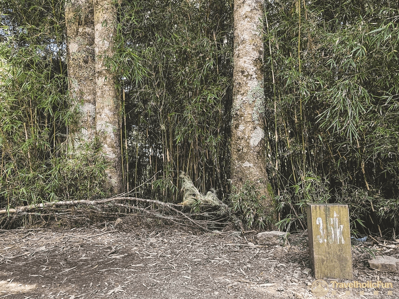 三叉營地之里程木樁